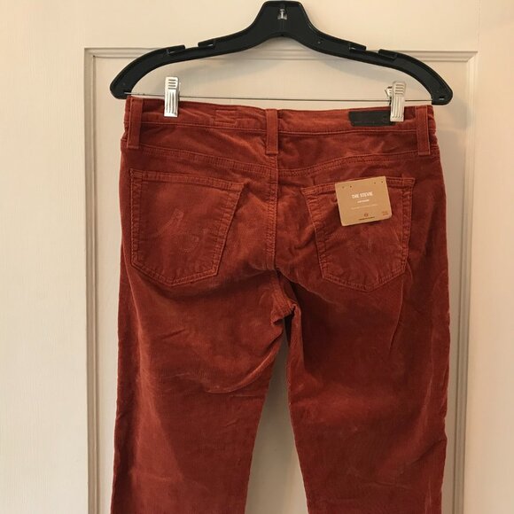 Anthropologie | AG Stevie Corduroy Pants in Burnt Orange - Picture 7 of 13